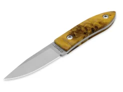 Maserin AM22 Poplar Burl Natural Gelb Sale