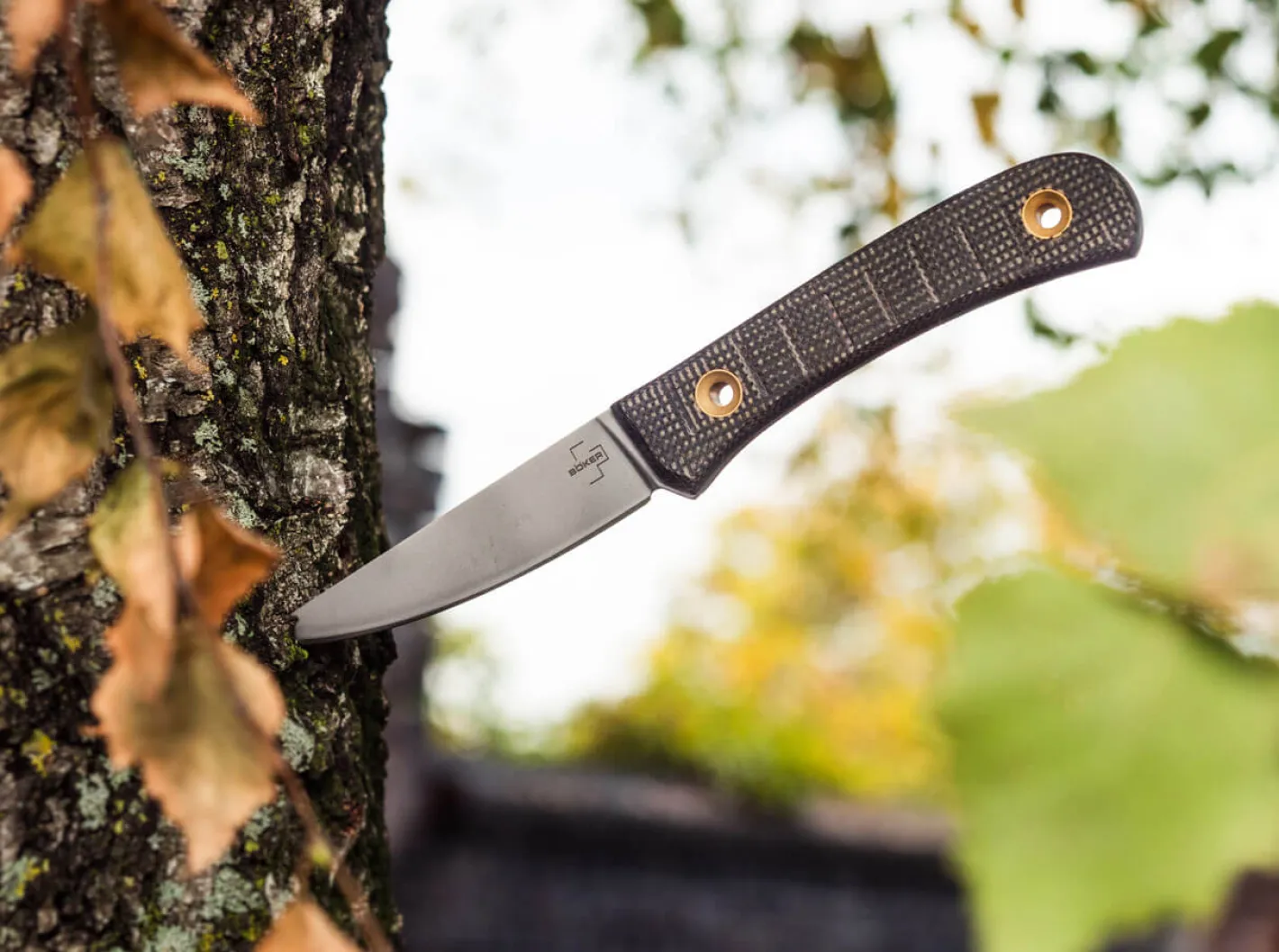 Böker Plus Bark Beetle Braun Online