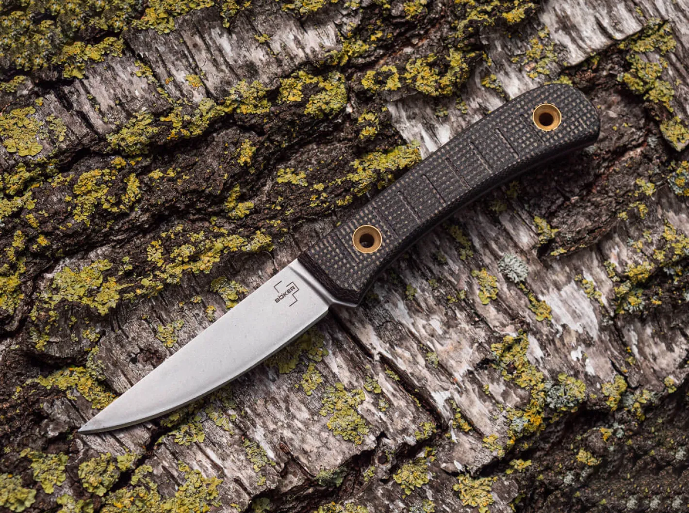 Böker Plus Bark Beetle Braun Online