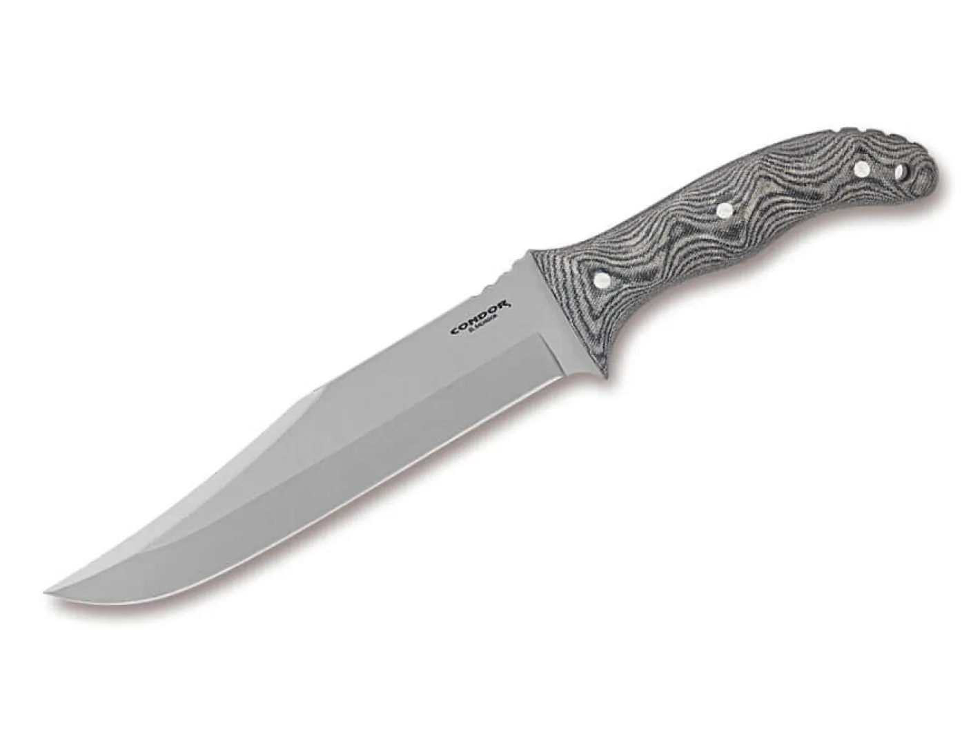 Condor Belgian Bowie Braun New