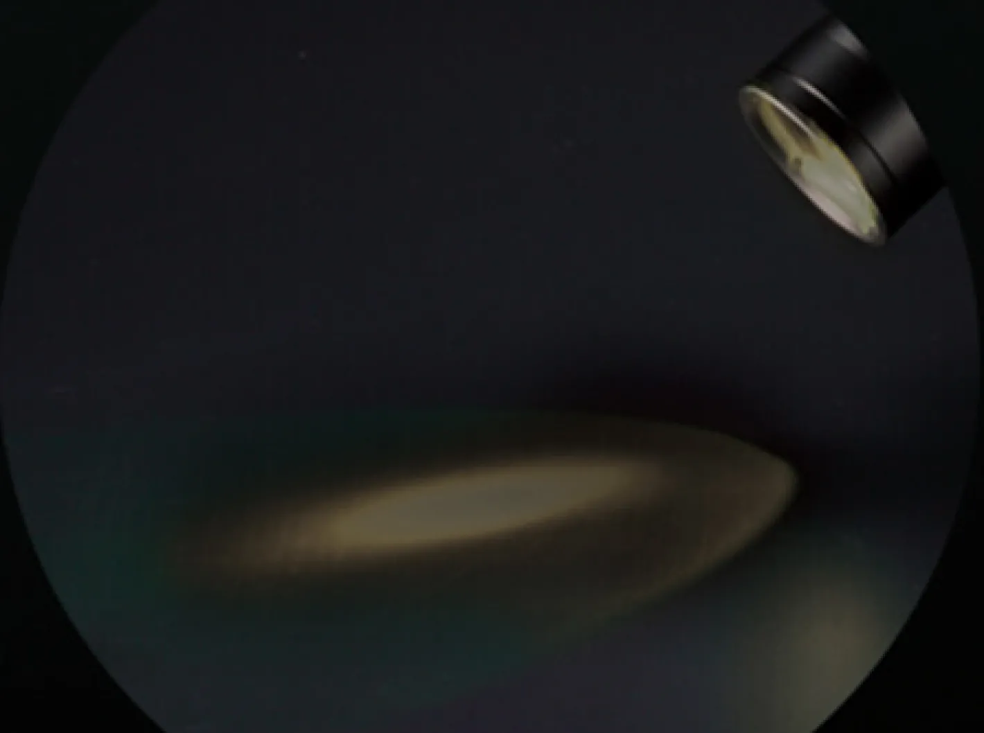 Nitecore Chameleon Weiß / Infrarot Schwarz Online