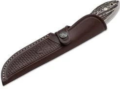 Muela Cocker Braun Discount