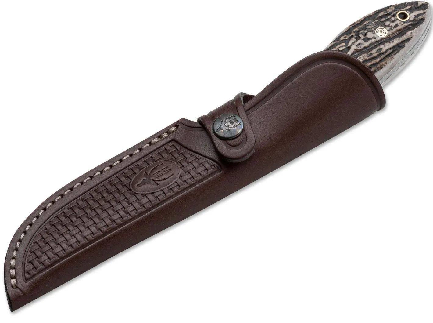 Muela Cocker Braun Discount