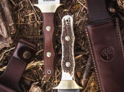 Böker Arbolito Colmillo Guayacan Braun Sale