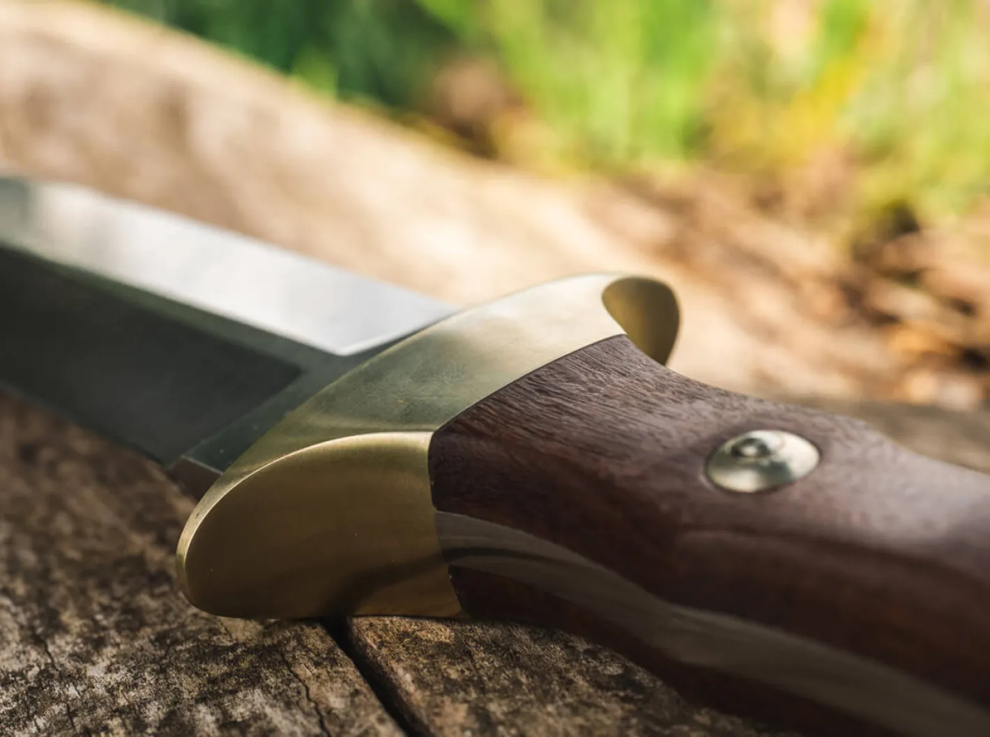 Böker Arbolito Colmillo Guayacan Braun Sale