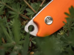 Magnum EFD Orange New