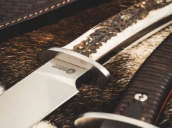 Böker Arbolito Esculta Hirschhorn Braun Best