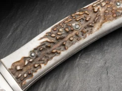 Böker Arbolito Esculta Hirschhorn Braun Online