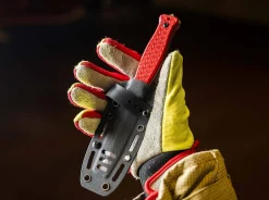 Dönges Expert Fire Fixed Rot Hot