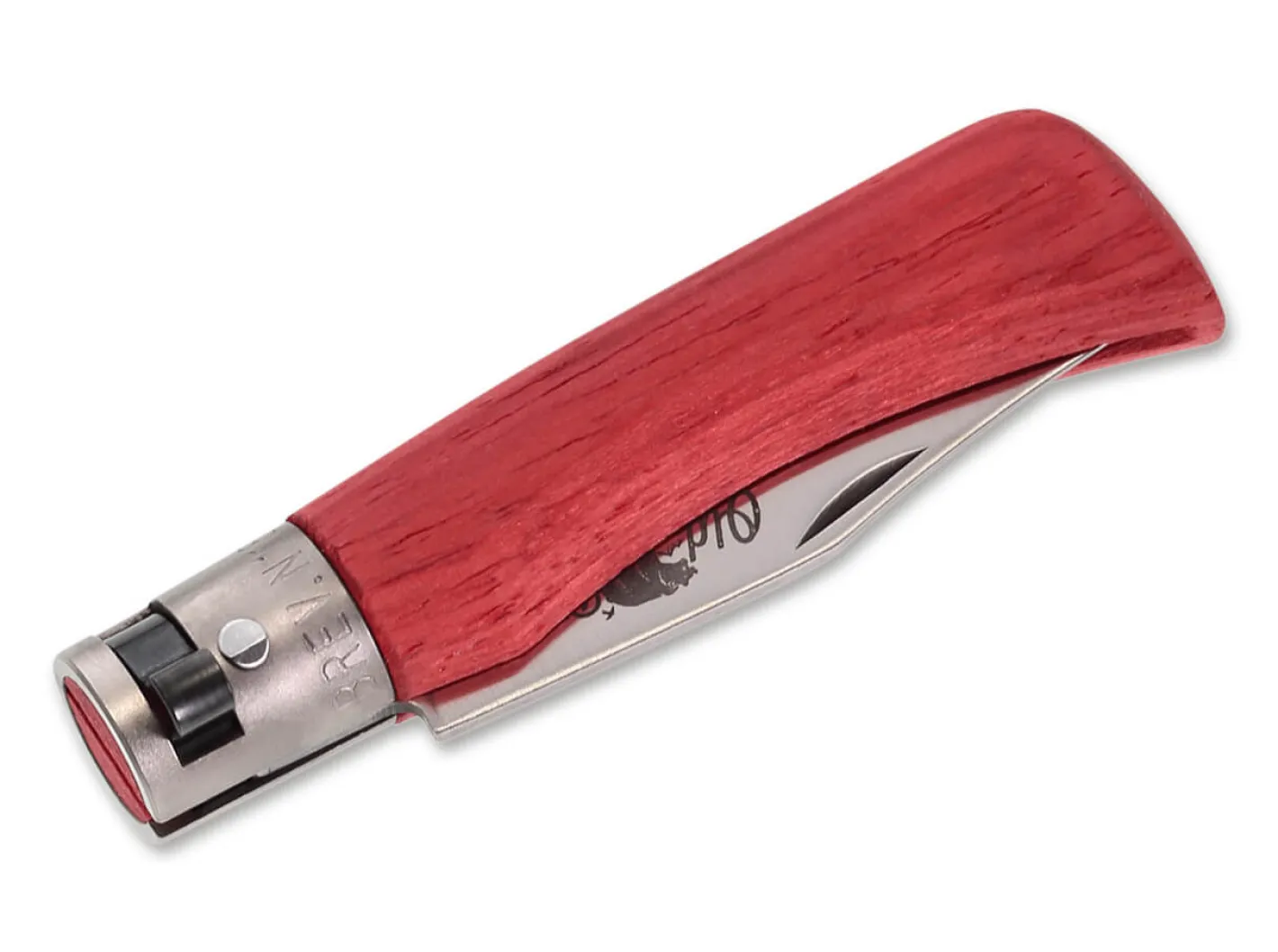 Old Bear Full Color XS Red Rot Outlet