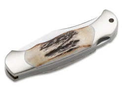 Böker Manufaktur Solingen Junior Scout Hirschhorn Best