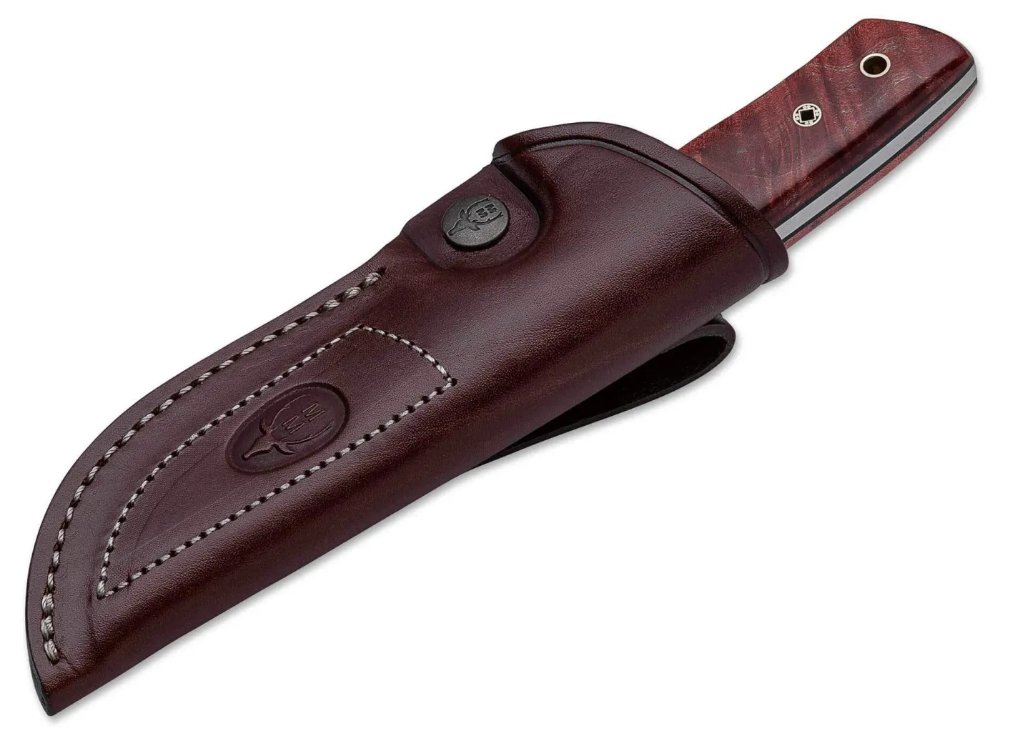 Muela Kodiak Anniversary Braun Hot