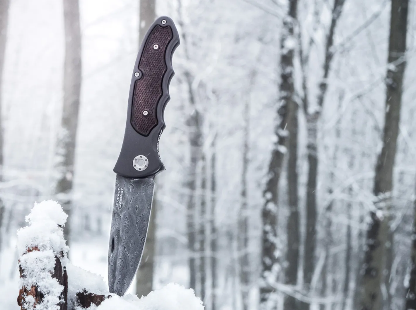 Böker Manufaktur Solingen Leopard-Damast III 42 Grau Discount