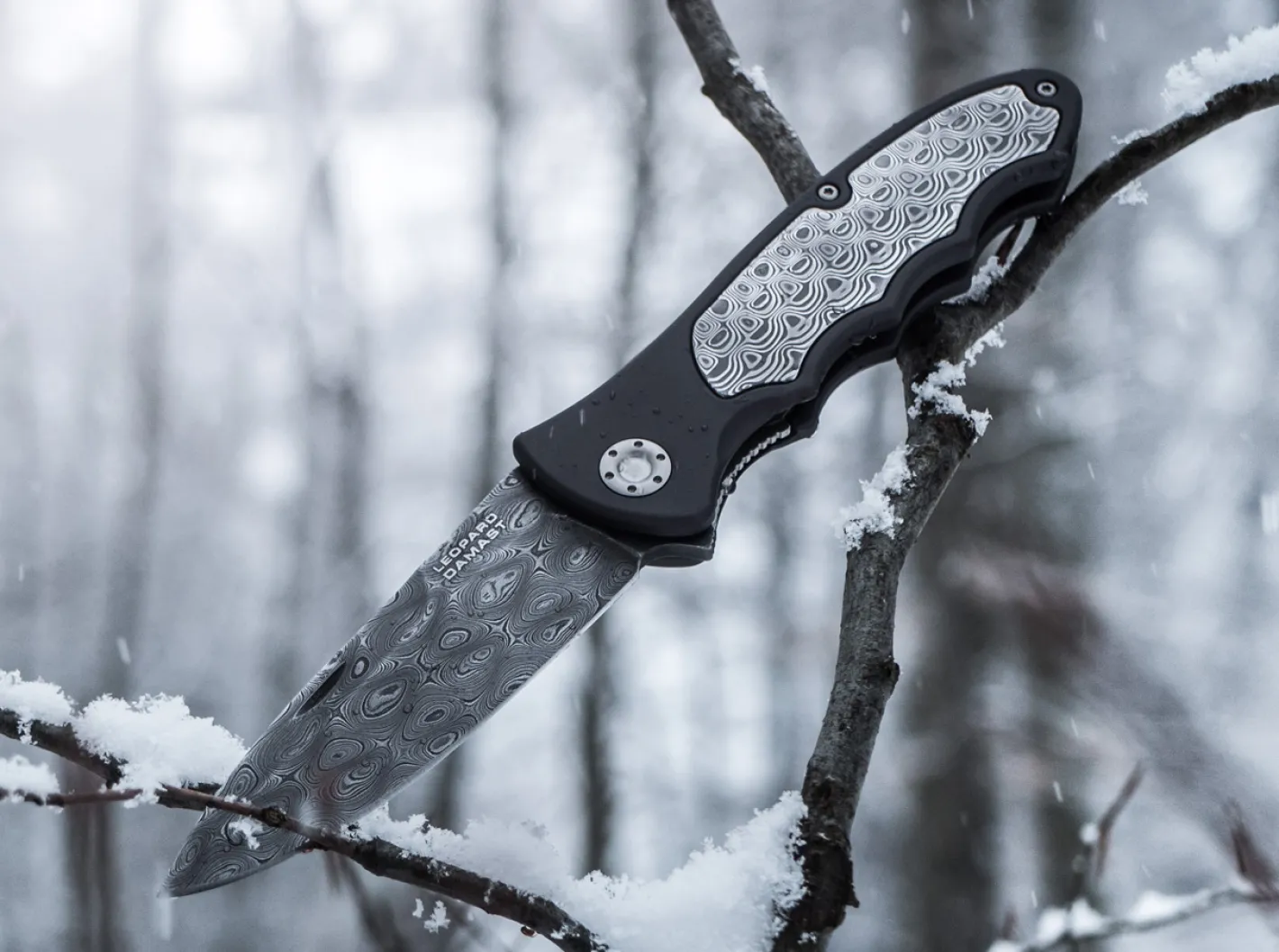 Böker Manufaktur Solingen Leopard-Damast III 42 Collection Schwarz