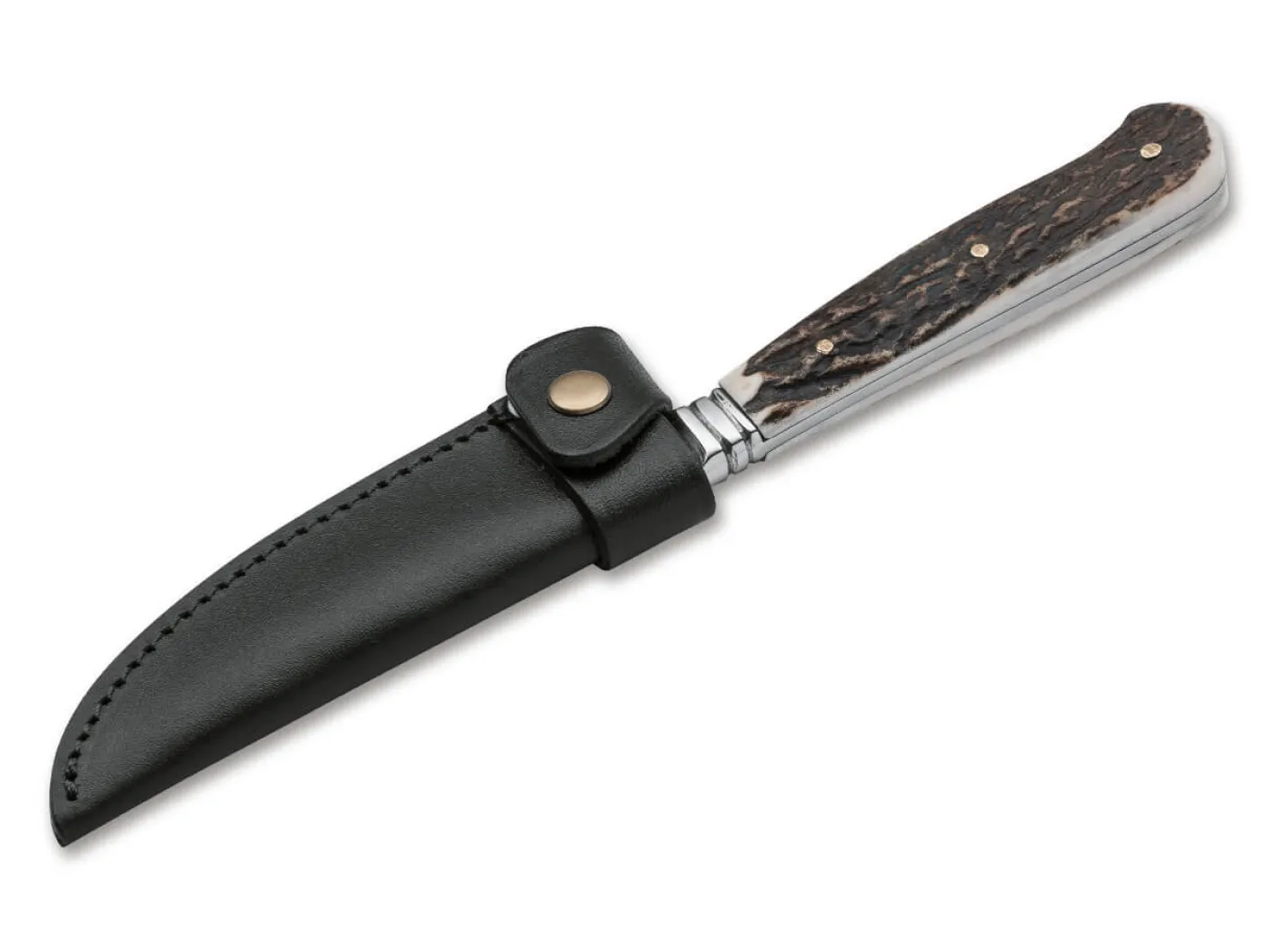 Hubertus Nicker Hirschhorn Braun Best