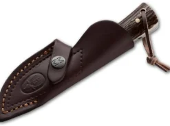 Muela Orix Braun Online