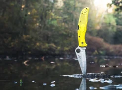 Spyderco Pacific Salt 2 Yellow Gelb