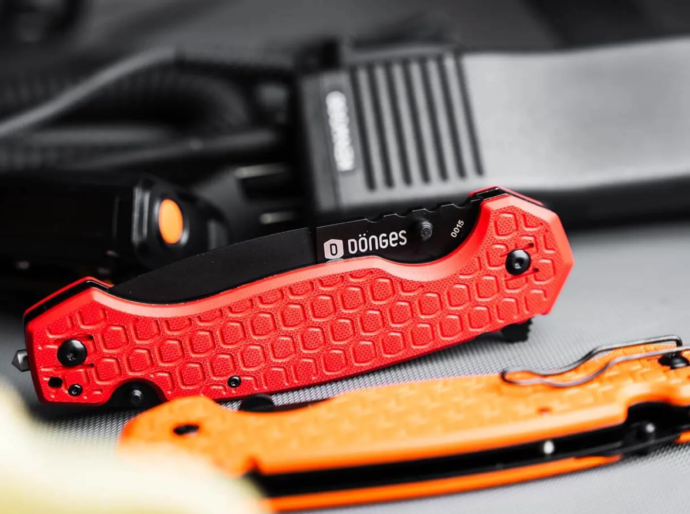 Dönges Professional Fire Clearance