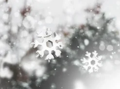 Magnum Snow Crystal Tool Hot