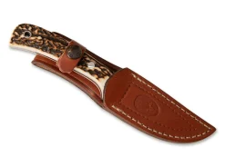 Muela Terrier Braun Sale