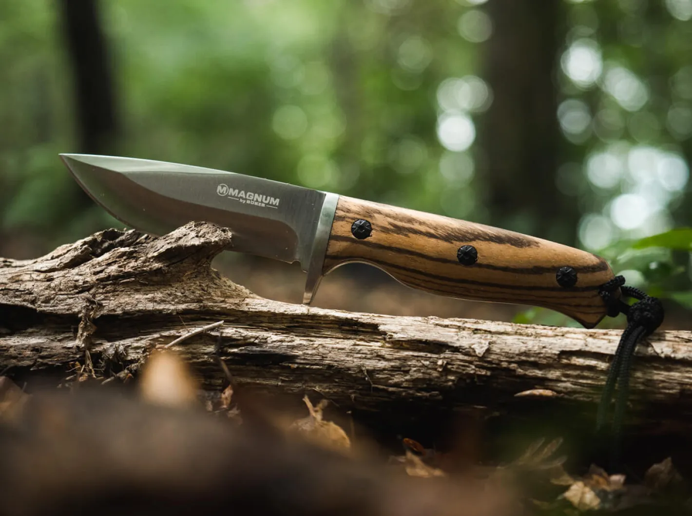 Magnum Zebra Drop Braun Best