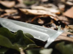 Magnum Zebra Drop Braun Outlet