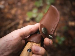 Magnum Zebra Drop Braun Outlet